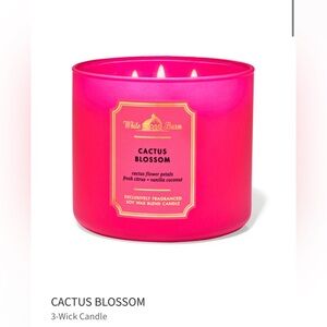 NWT! Bath & Body Works Cactus Blossom Candle